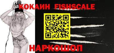 гидра Заводоуковск