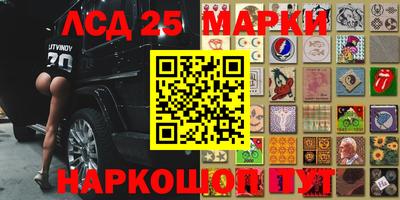 гидра Заводоуковск