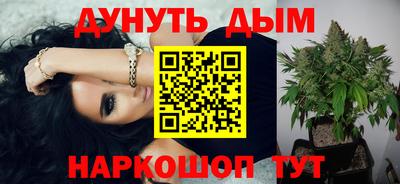 гидра Заводоуковск