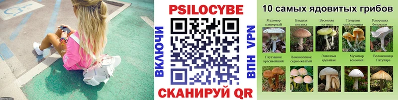 Галлюциногенные грибы Cubensis  Пятигорск 
