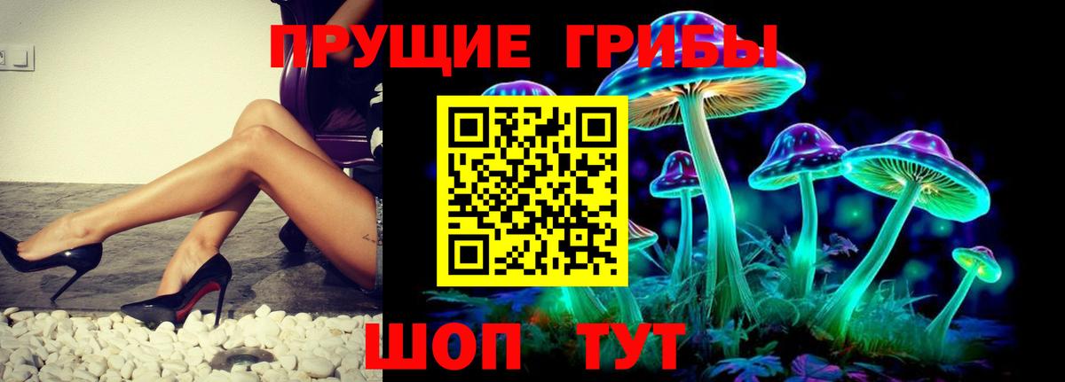 Галлюциногенные грибы ЛСД  Вход с VPN  Пятигорск  Псилоцибиновые грибы Psilocybe 